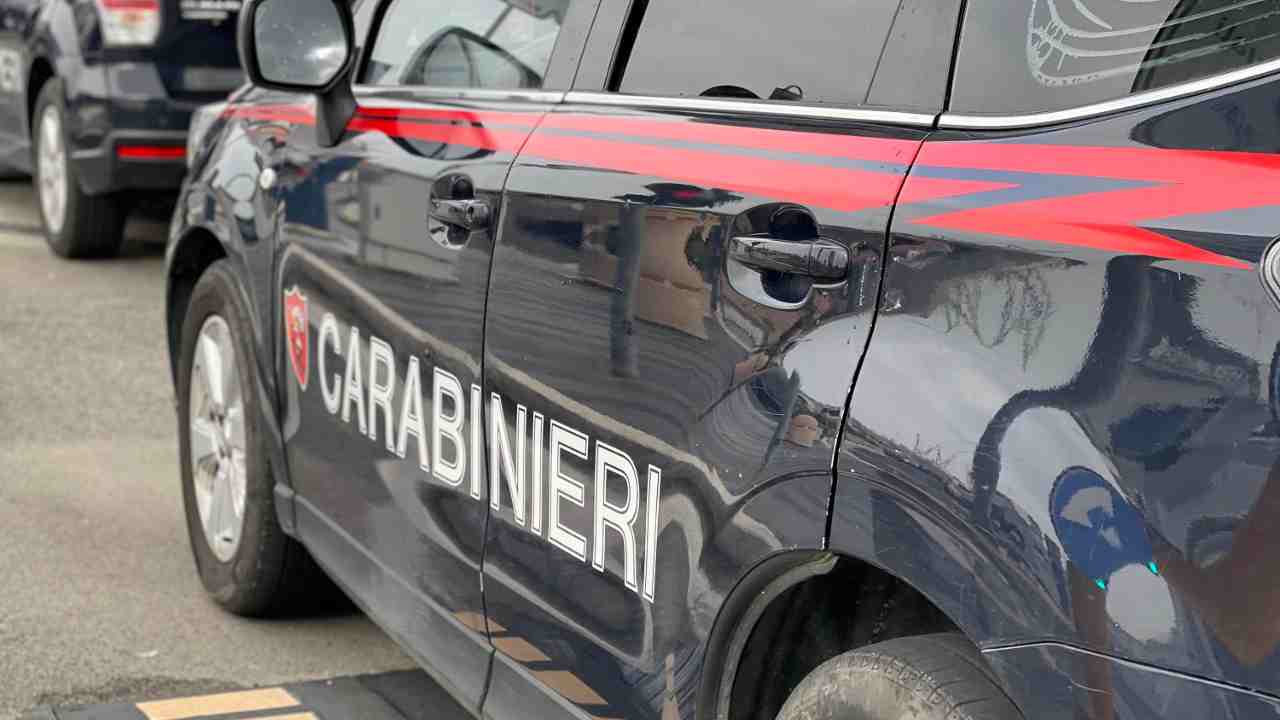 forze dell'ordine - polizia - carabinieri - newscamp